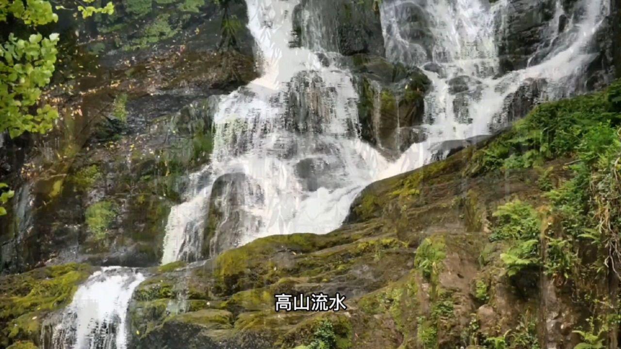 成吉思汗的后代姓什么呢?-冷知识分享平台